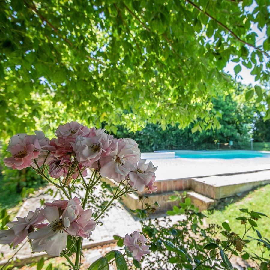 Borgo Del Nibbio Lägenhet Porto Levante Exteriör bild