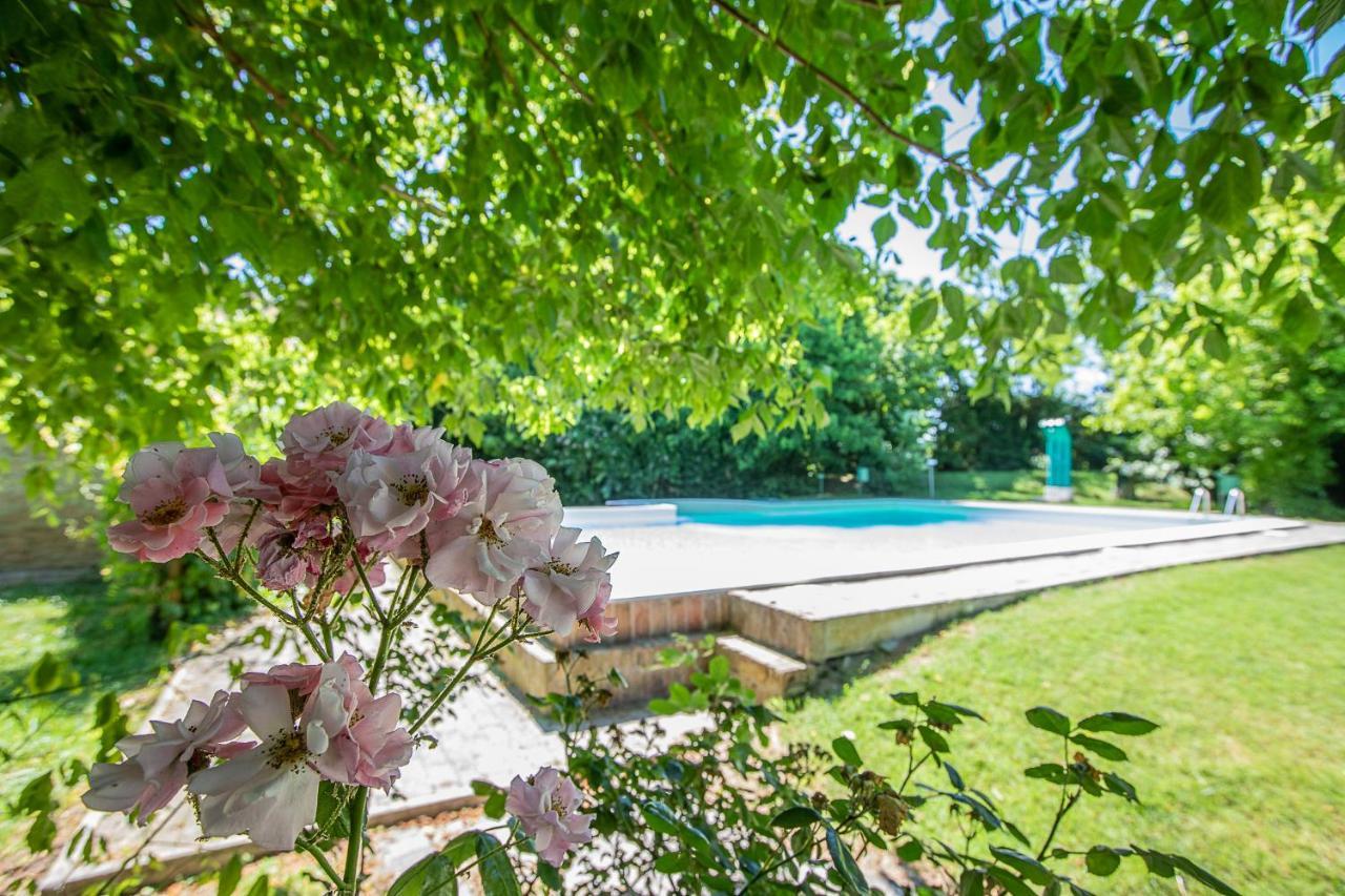 Borgo Del Nibbio Lägenhet Porto Levante Exteriör bild